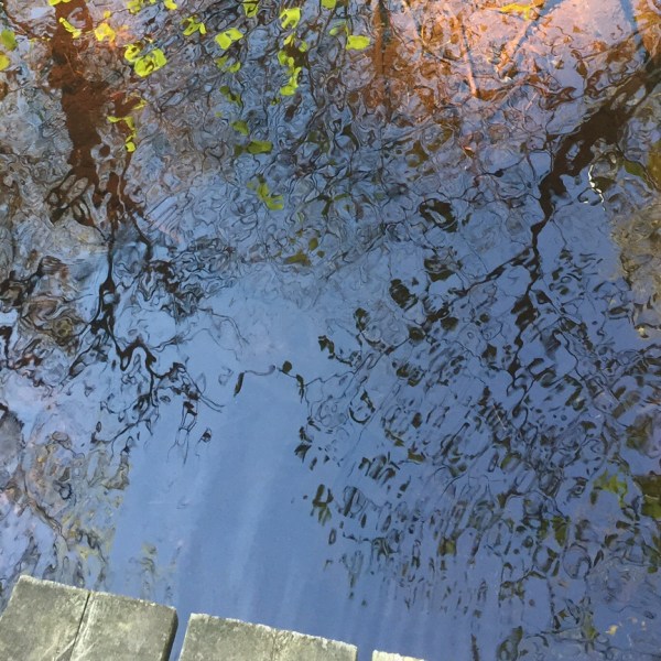 Lake Canada Algonquin Park Reflection Blue Sky Trees