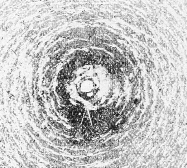 Current induced magnetic force and iron filings 1895 1896 Public Domain